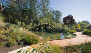 Chelsea Australian Garden At Olinda