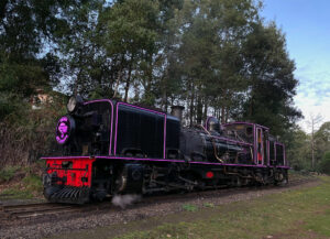 Puffing Billy's Garratt Locomotive NGG16