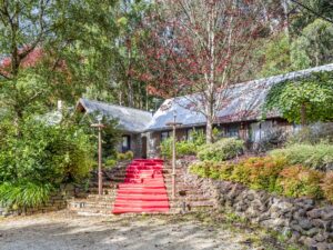 Bed and Breakfast style accommodation offered by Sun-Kissed Forest Garden.