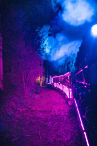 Puffing Billy Train of Lights travels through the Dandenong Ranges. The train and surrounding bushland is illuminated in pink and blue hues.