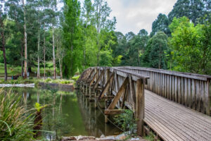 Trestle footbridge over a lake with green foliage in the background.