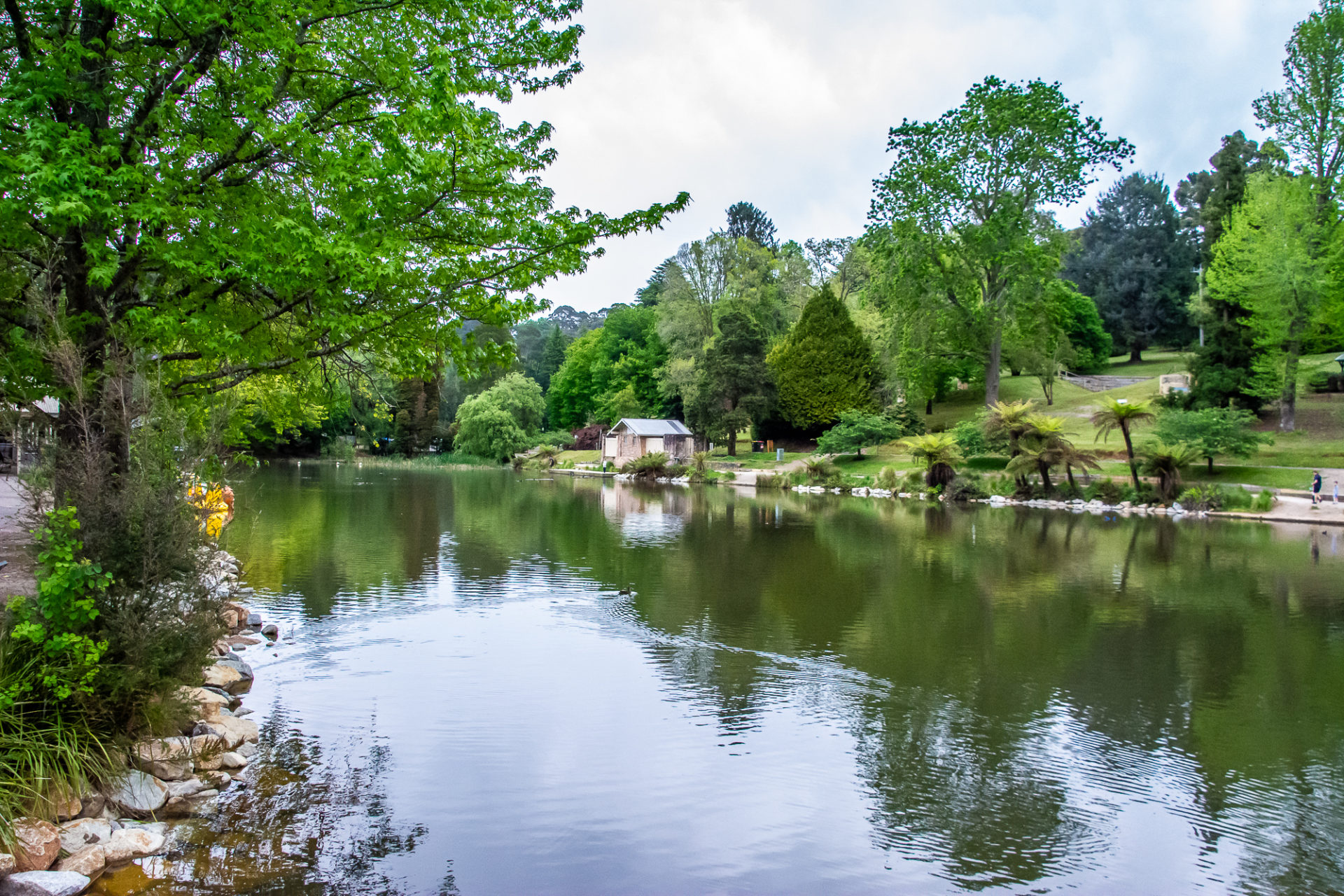 View of Emerald Lake (Lake Treganowan)