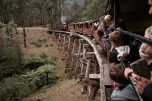 Gembrook Journey Trestle Bridge Crossing
