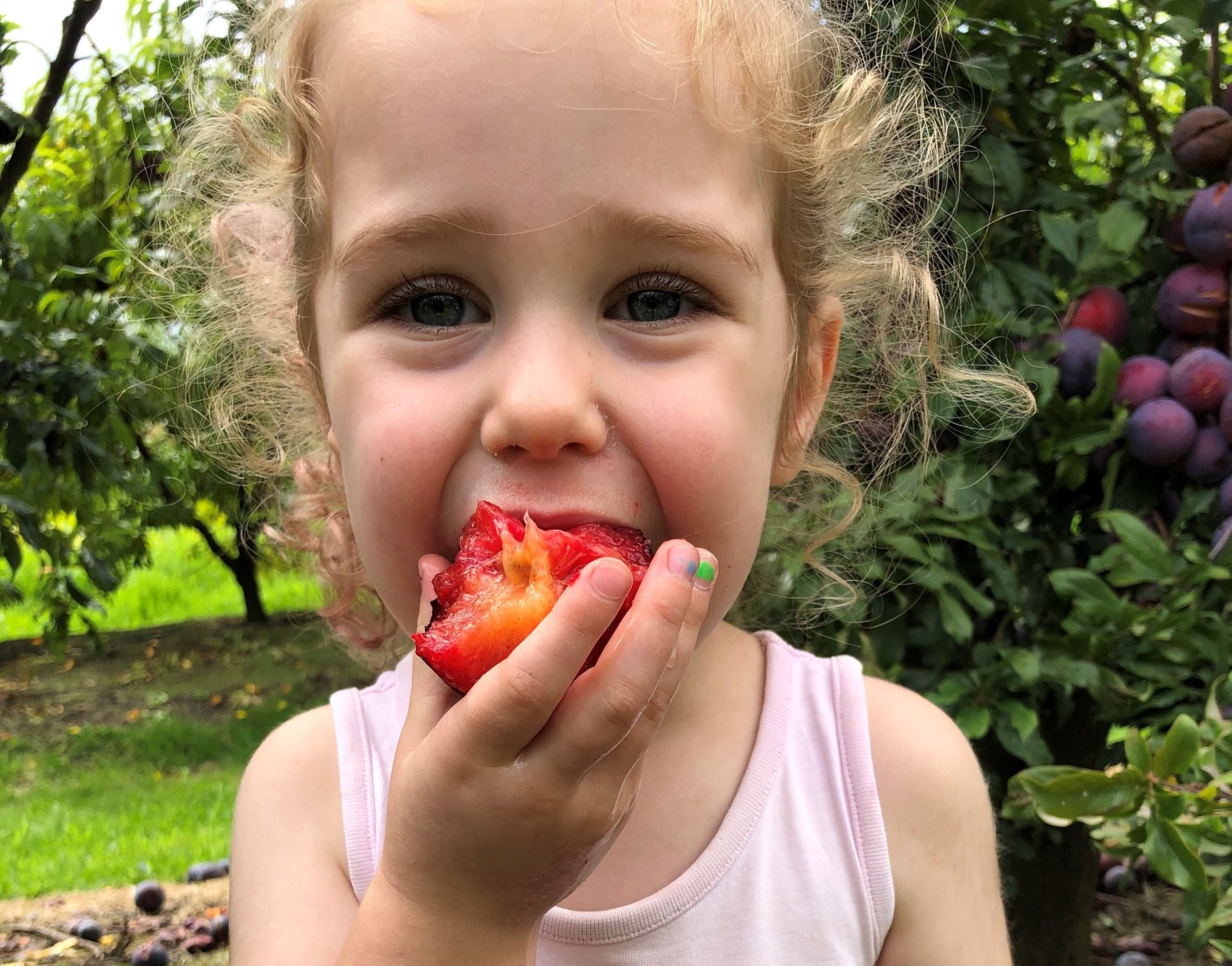 Rayners Orchard