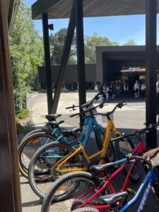A selection of bikes parked outside the Puffing Billy Lakeside Visitor Centre.