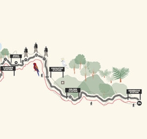 Map showing Puffing Billy's journey with points of interest between Lakeside and Gembrook station. Full details can be found in the copy below.