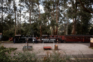 Puffing Billy Menzies Creek Platform Wide View