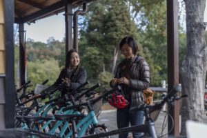 Passengers hiring a bike and taking to the Eastern Dandenong Ranges Trail