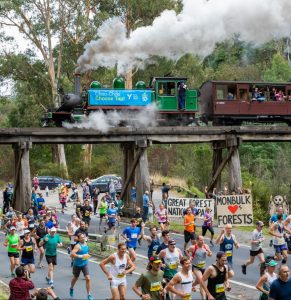 Great Train Race