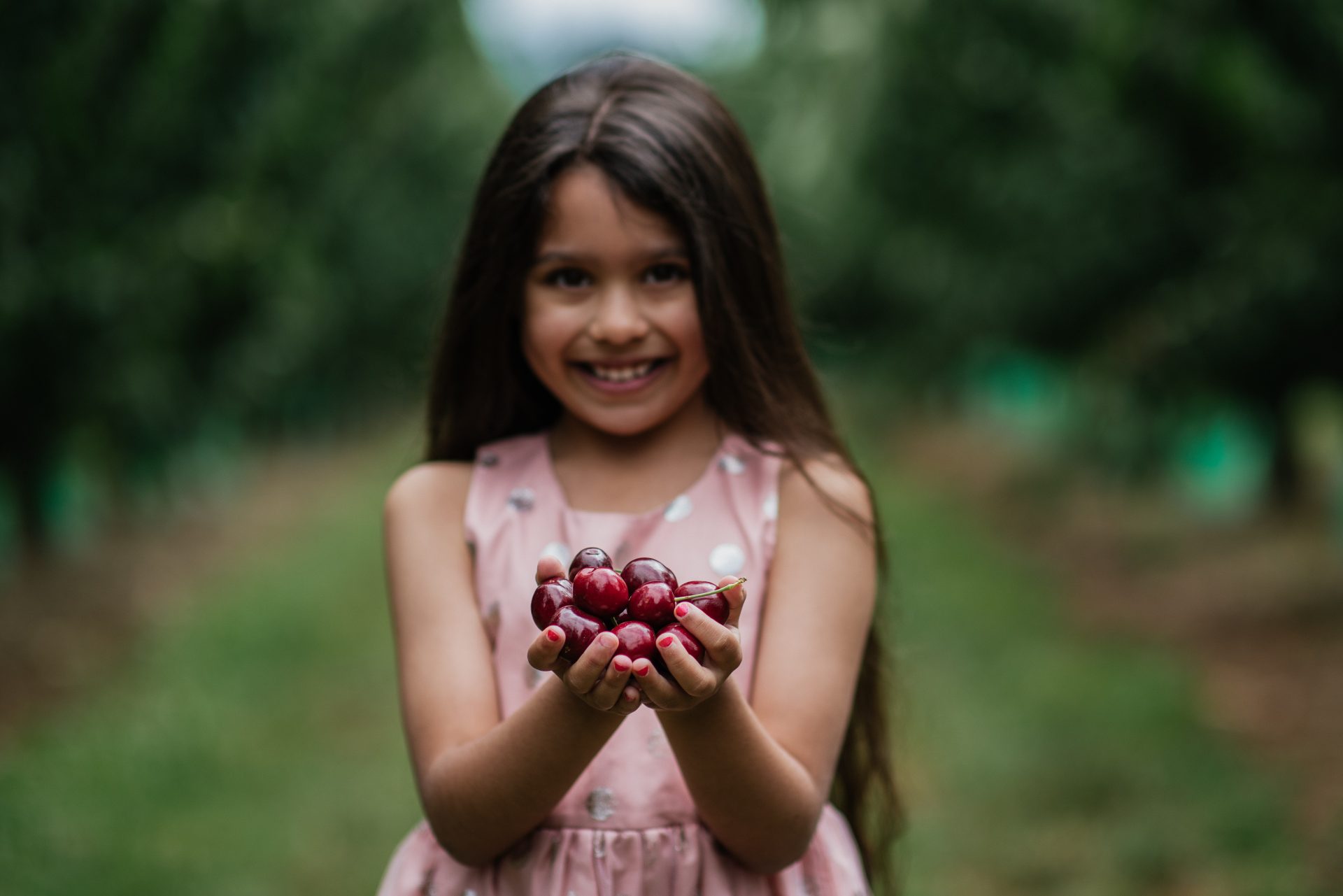 CherryHill Orchards