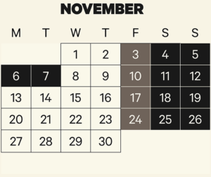 Puffing Billy timetable calendar November 2023