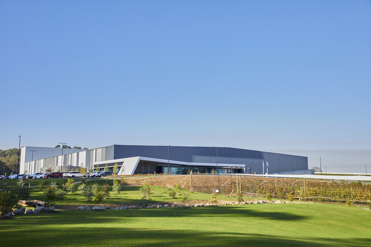 TheOrchard Lr 82