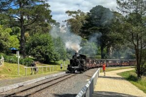 A steam train and carriages approaching a train platform in the lush Dandenong Ranges.