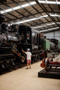 Puffing Billy Young Boy Looking At Artifacts At Menzies Creek Museum