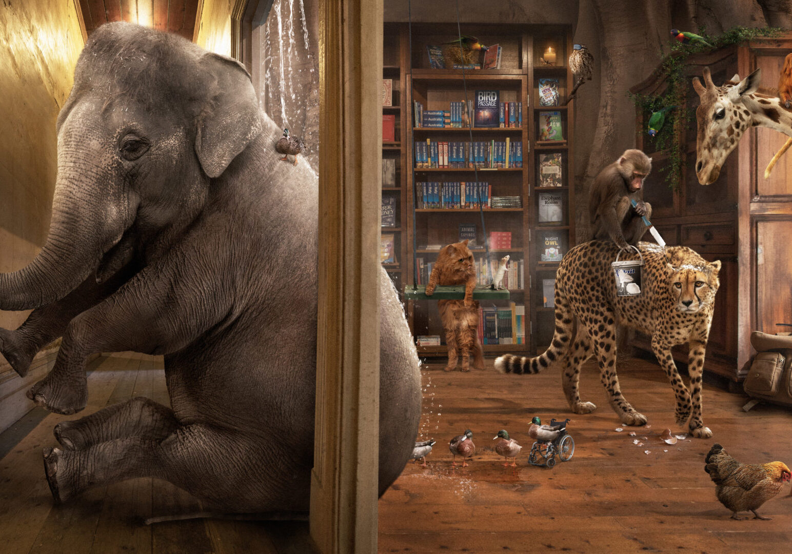 "Elephant in the Room"