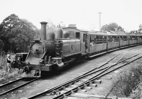 Puffing Billy Train History