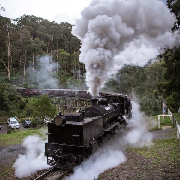 Sole survivor G42 roars across the Monbulk creek trestle bridge with the daily Steam &amp; Cuisine luncheon train for Lakeside.
