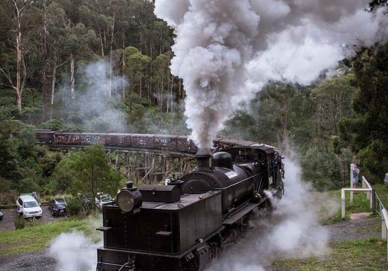 Sole survivor G42 roars across the Monbulk creek trestle bridge with the daily Steam &amp; Cuisine luncheon train for Lakeside.