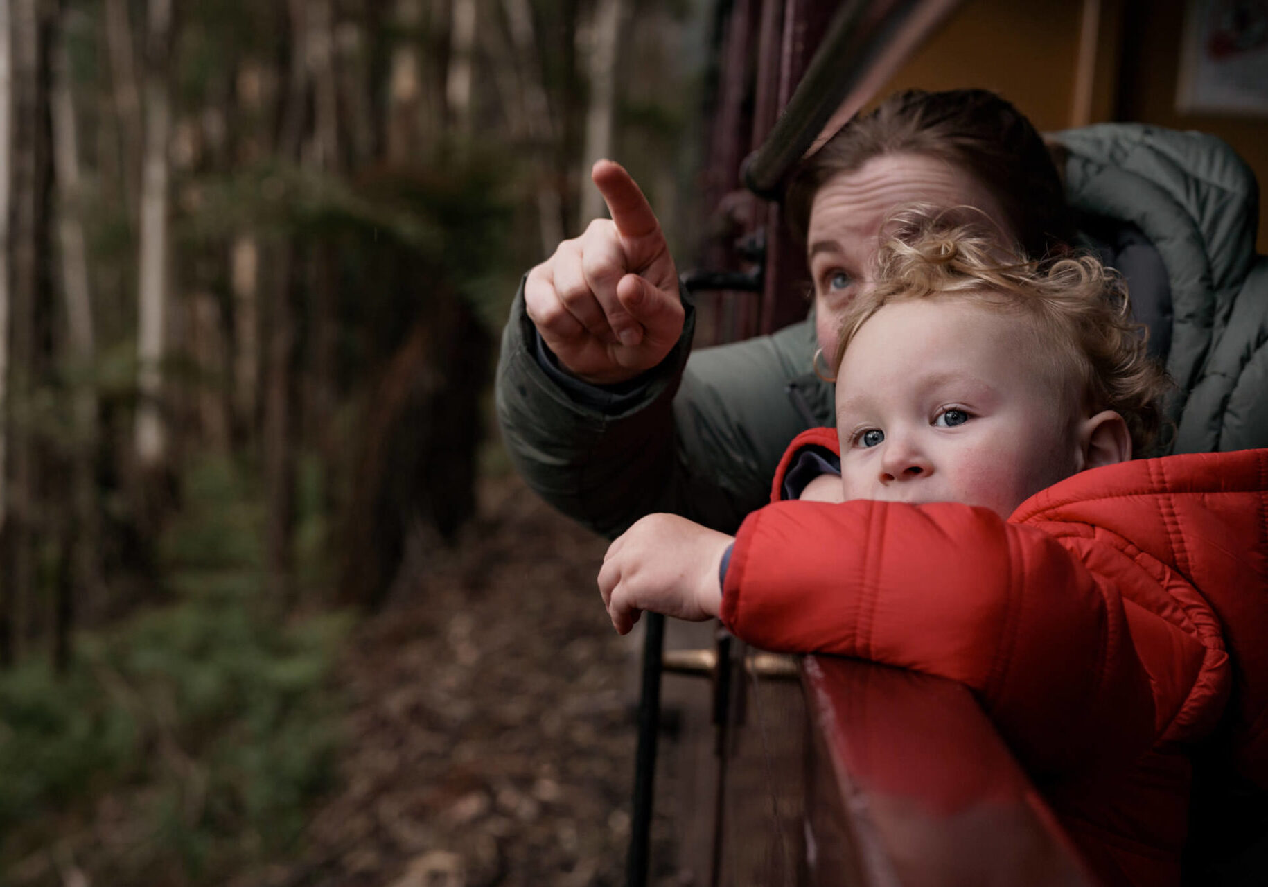 Mum And Son Pointing Out Of Carriage
