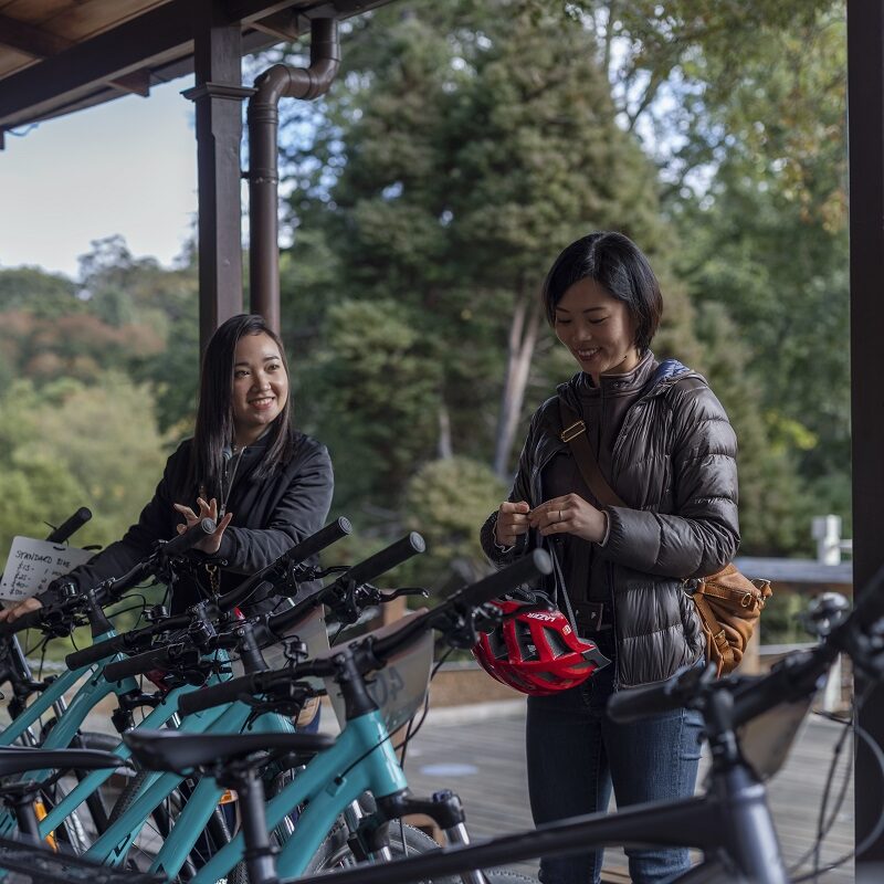 Passengers hiring a bike and taking to the Eastern Dandenong Ranges Trail