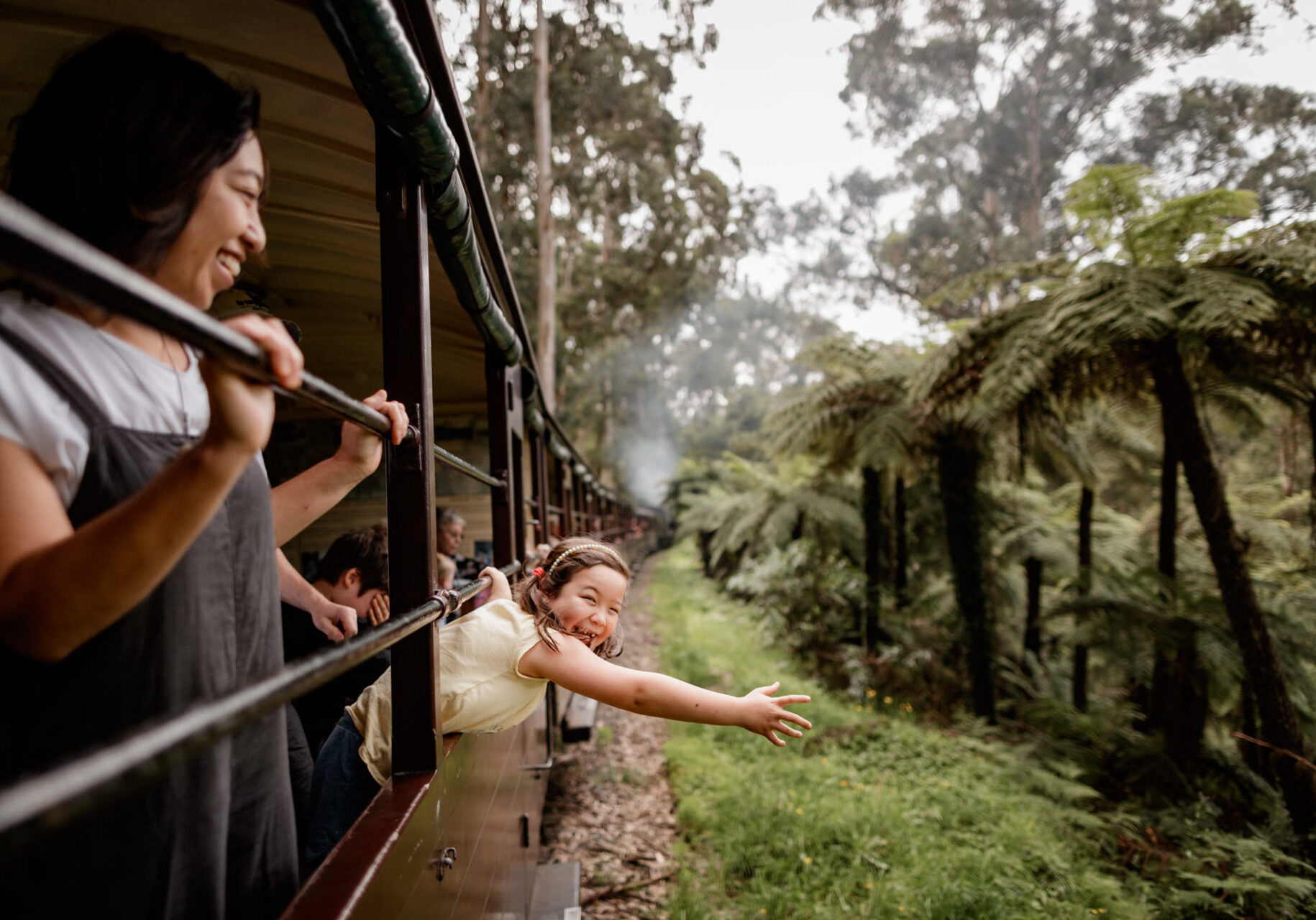 Young Girl Stretching Out Hand To Feel The Breeze onboard the Train Ride with James and Diesel