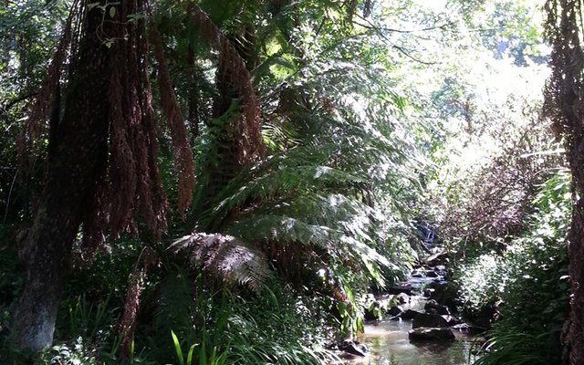 Clematis Creek
Photo by Jessica Becher