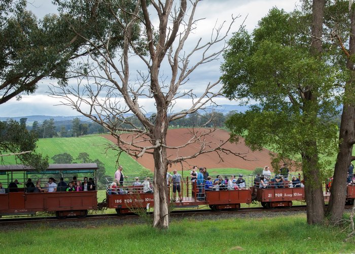 Explore Lakeside to Gembrook