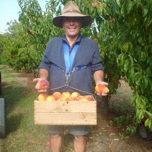Rayners Orchard