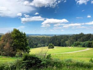 Cardinia Reservoir Views from the train