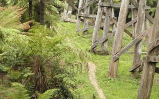 Monbulk Creek under Trestle Bridge
Photo by Jessica Becher