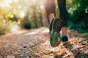 Closeup of a running shoe of someone running in bushland.